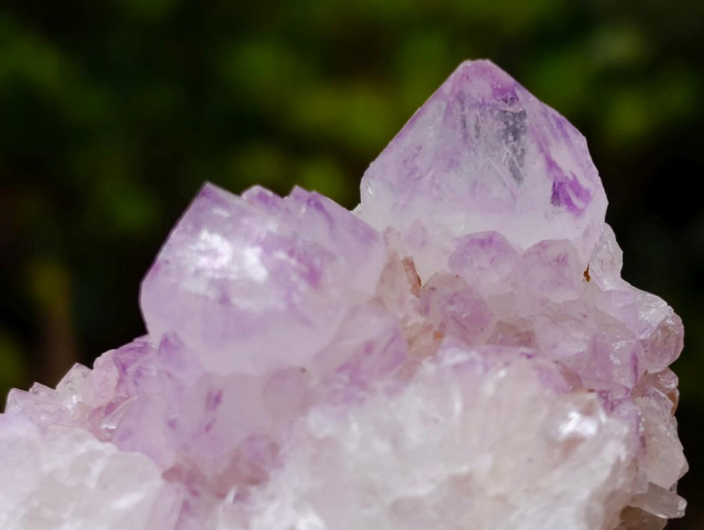 Natural Spirit Amethyst Clusters x 6 From Boekenhouthoek, South Africa - Toprock Gemstones and Minerals 