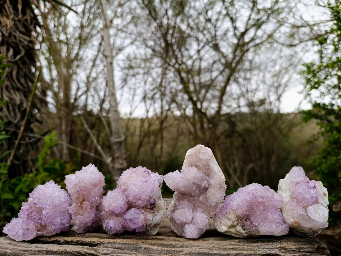 Natural Spirit Amethyst Clusters x 6 From Boekenhouthoek, South Africa - Toprock Gemstones and Minerals 