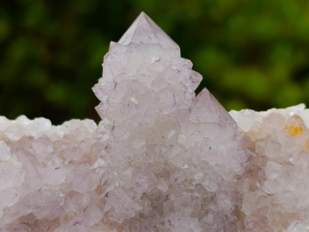Natural Spirit Amethyst Clusters x 6 From Boekenhouthoek, South Africa - Toprock Gemstones and Minerals 