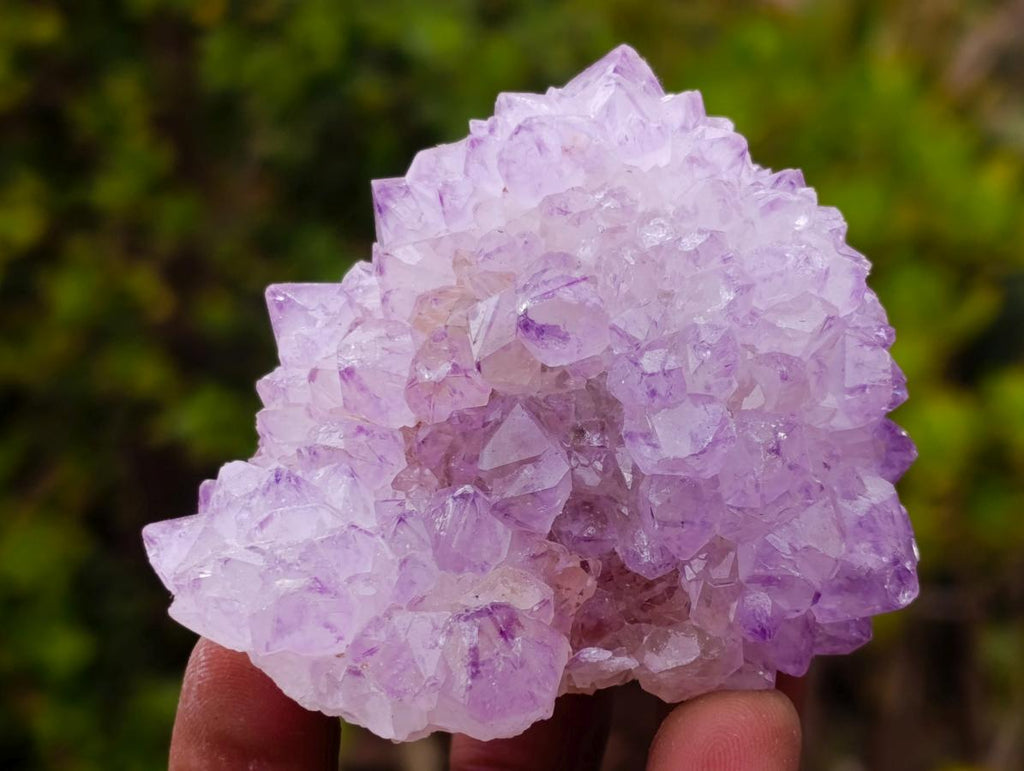 Natural Spirit Amethyst Clusters x 6 From Boekenhouthoek, South Africa - Toprock Gemstones and Minerals 
