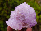 Natural Spirit Amethyst Clusters x 6 From Boekenhouthoek, South Africa - Toprock Gemstones and Minerals 