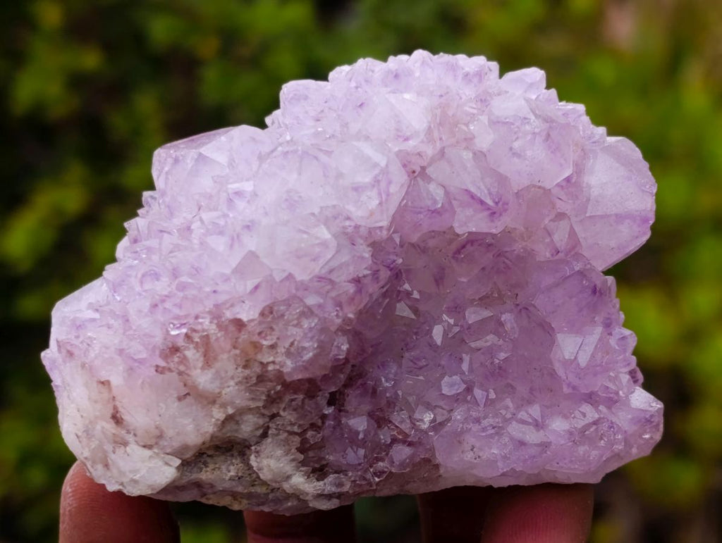 Natural Spirit Amethyst Clusters x 6 From Boekenhouthoek, South Africa - Toprock Gemstones and Minerals 