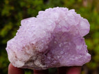 Natural Spirit Amethyst Clusters x 6 From Boekenhouthoek, South Africa - Toprock Gemstones and Minerals 
