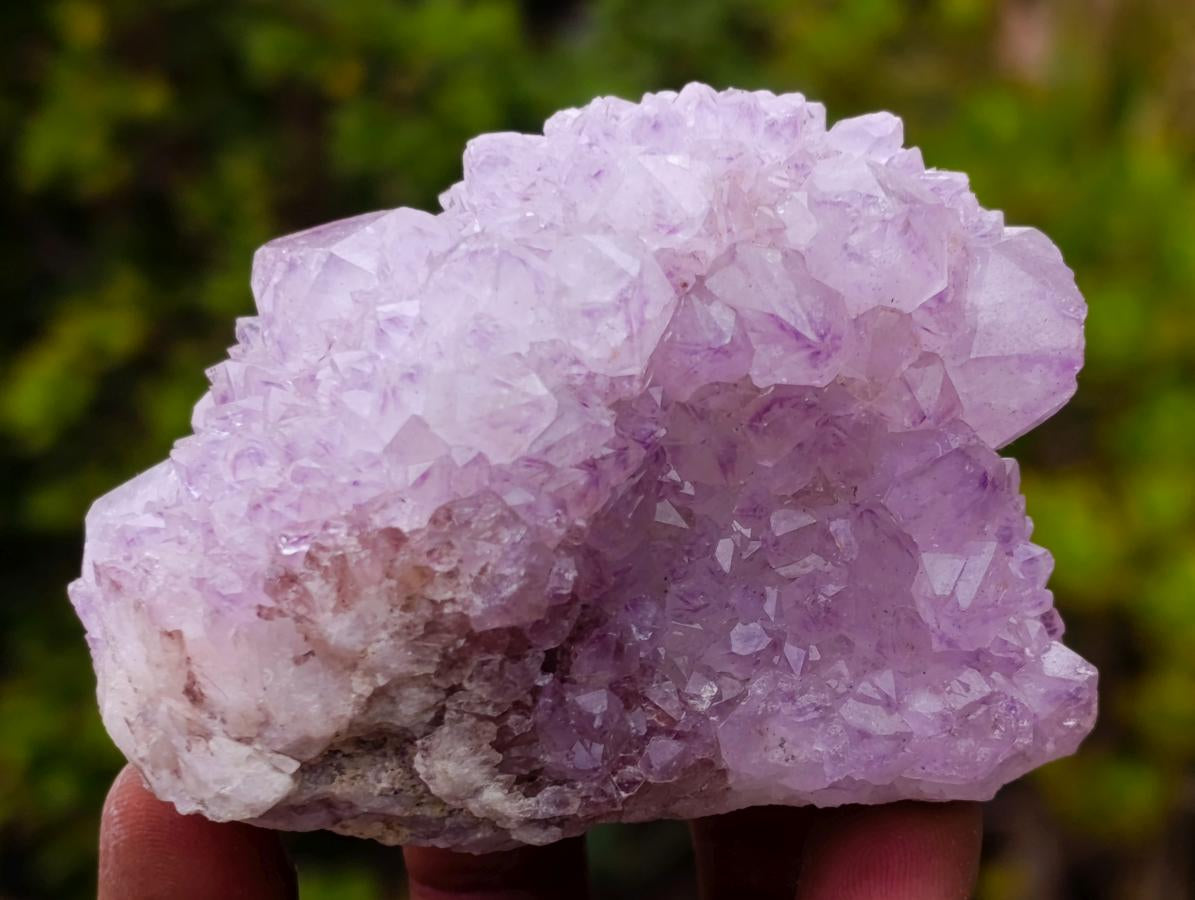 Natural Spirit Amethyst Clusters x 6 From Boekenhouthoek, South Africa - Toprock Gemstones and Minerals 