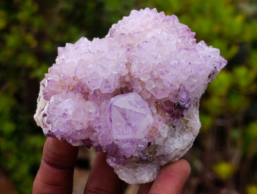 Natural Spirit Amethyst Clusters x 6 From Boekenhouthoek, South Africa - Toprock Gemstones and Minerals 