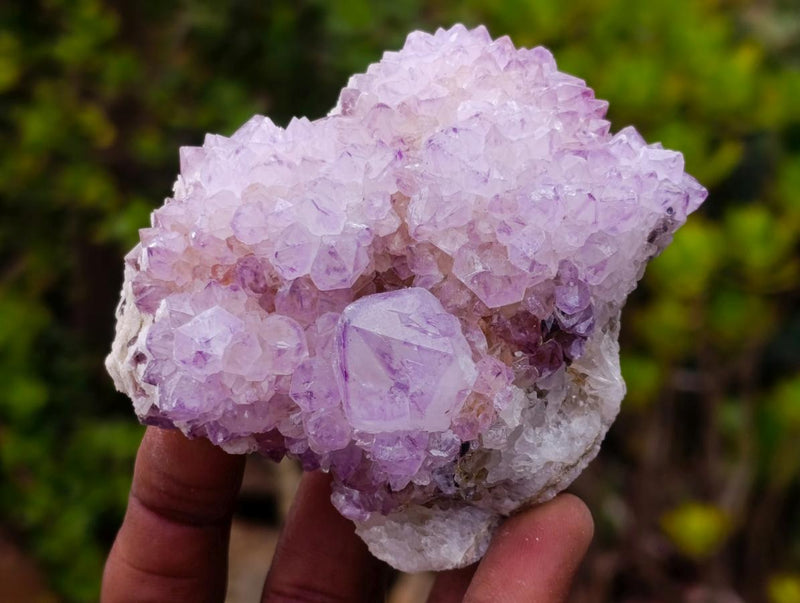 Natural Spirit Amethyst Clusters x 6 From Boekenhouthoek, South Africa - Toprock Gemstones and Minerals 