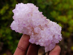 Natural Spirit Amethyst Clusters x 6 From Boekenhouthoek, South Africa - Toprock Gemstones and Minerals 