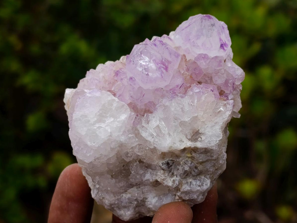 Natural Spirit Amethyst Clusters x 6 From Boekenhouthoek, South Africa - Toprock Gemstones and Minerals 