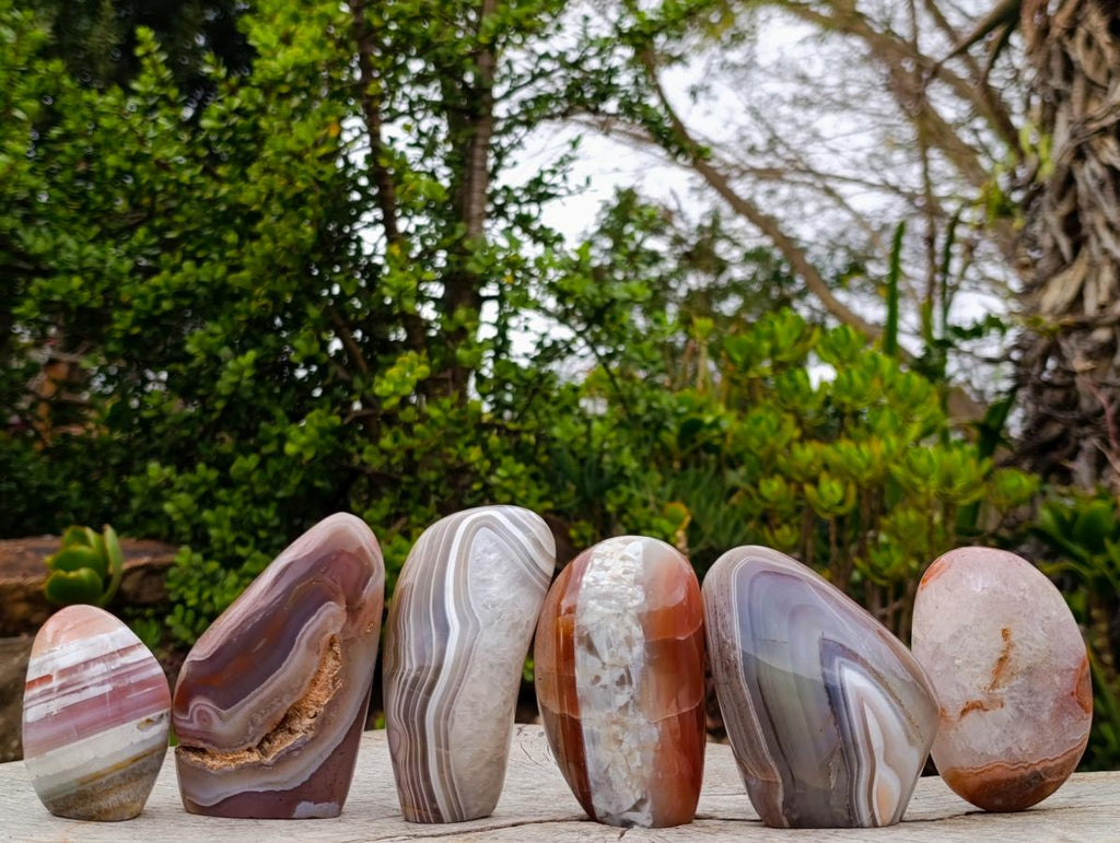 Polished and Natural Red Shashe River Agate Standing Display Pieces x 6 From Shashe River, Zimbabwe - Toprock Gemstones and Minerals 