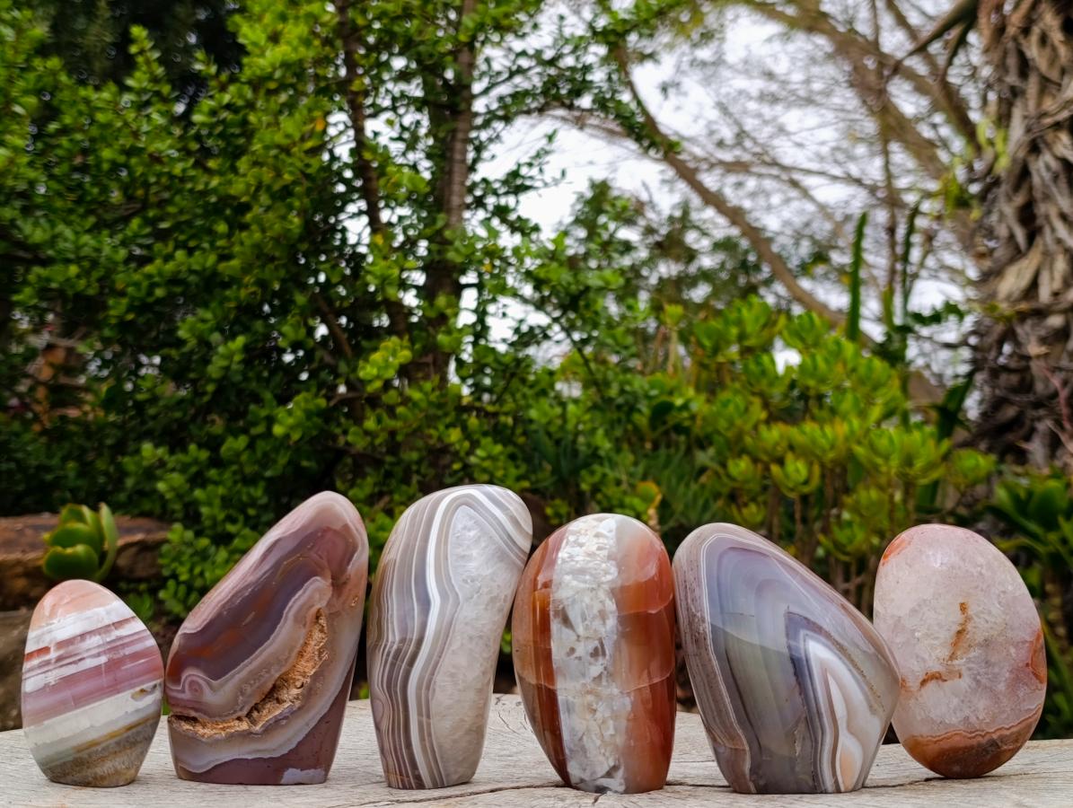 Polished and Natural Red Shashe River Agate Standing Display Pieces x 6 From Shashe River, Zimbabwe - Toprock Gemstones and Minerals 