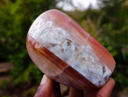 Polished and Natural Red Shashe River Agate Standing Display Pieces x 6 From Shashe River, Zimbabwe - Toprock Gemstones and Minerals 