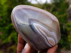 Polished and Natural Red Shashe River Agate Standing Display Pieces x 6 From Shashe River, Zimbabwe - Toprock Gemstones and Minerals 