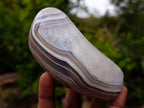 Polished and Natural Red Shashe River Agate Standing Display Pieces x 6 From Shashe River, Zimbabwe - Toprock Gemstones and Minerals 