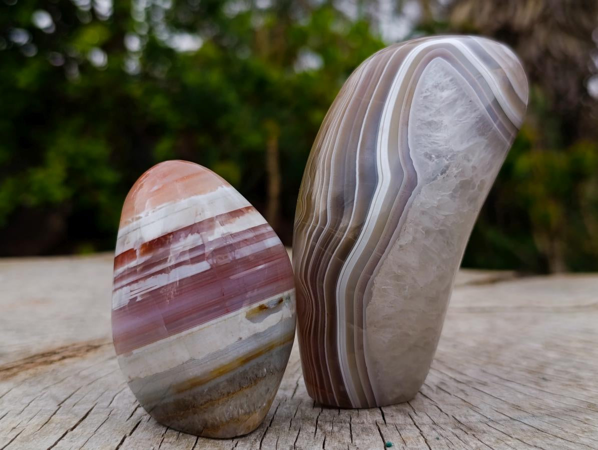 Polished and Natural Red Shashe River Agate Standing Display Pieces x 6 From Shashe River, Zimbabwe - Toprock Gemstones and Minerals 