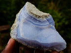 Natural Blue Lace Agate Geode Specimens x 12 From Nsanje, Malawi - Toprock Gemstones and Minerals 