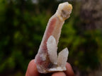 Natural Drusy Fairy Spirit Quartz Crystals and Clusters x 35 From Boekenhouthoek, South Africa - Toprock Gemstones and Minerals 