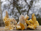 Natural Drusy Fairy Spirit Quartz Crystals and Clusters x 35 From Boekenhouthoek, South Africa - Toprock Gemstones and Minerals 