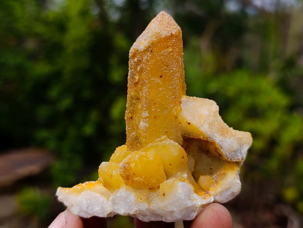 Natural Drusy Fairy Spirit Quartz Crystals and Clusters x 35 From Boekenhouthoek, South Africa - Toprock Gemstones and Minerals 