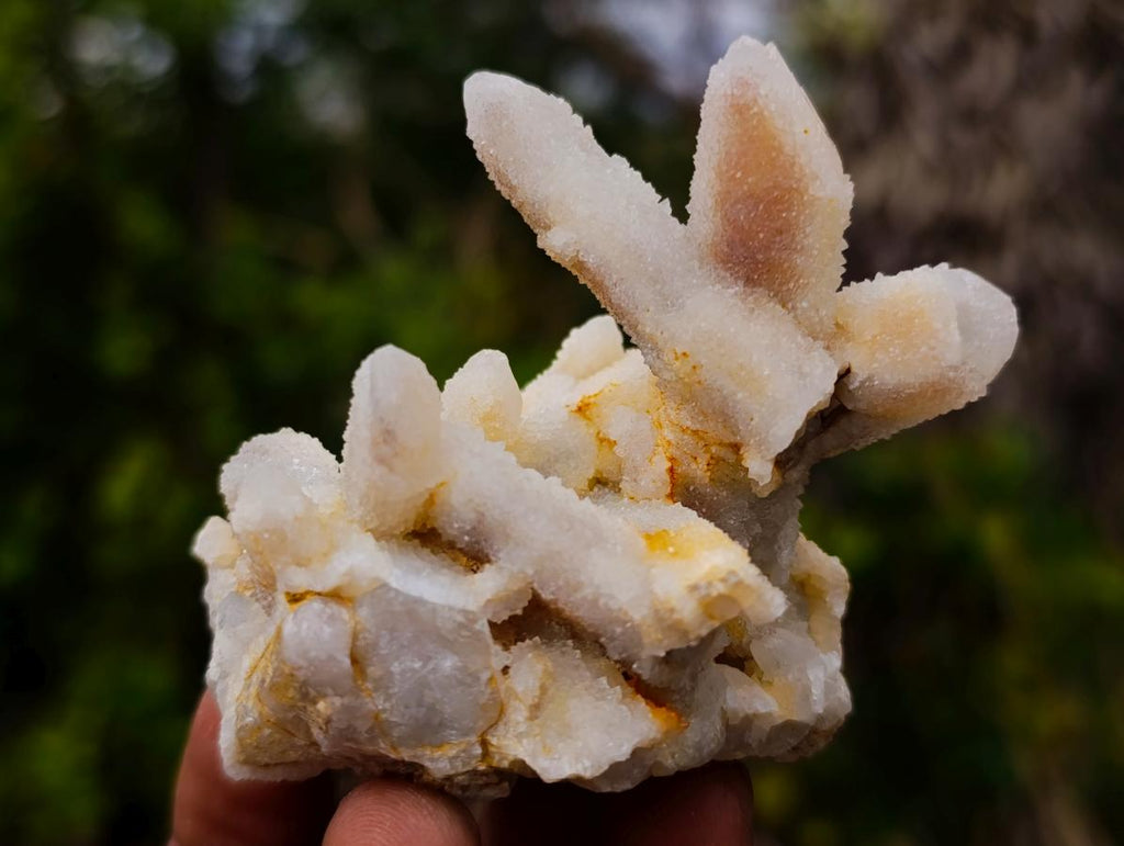 Natural Drusy Fairy Spirit Quartz Crystals and Clusters x 35 From Boekenhouthoek, South Africa - Toprock Gemstones and Minerals 