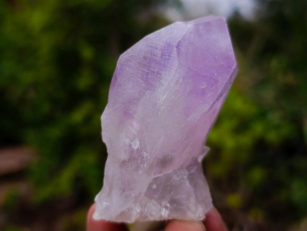 Natural Jacaranda Amethyst Single Crystals x 24 From Mumbwa, Zambia - Toprock Gemstones and Minerals 