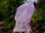 Natural Jacaranda Amethyst Single Crystals x 24 From Mumbwa, Zambia - Toprock Gemstones and Minerals 