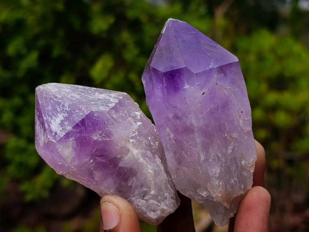 Natural Jacaranda Amethyst Single Crystals x 24 From Mumbwa, Zambia - Toprock Gemstones and Minerals 