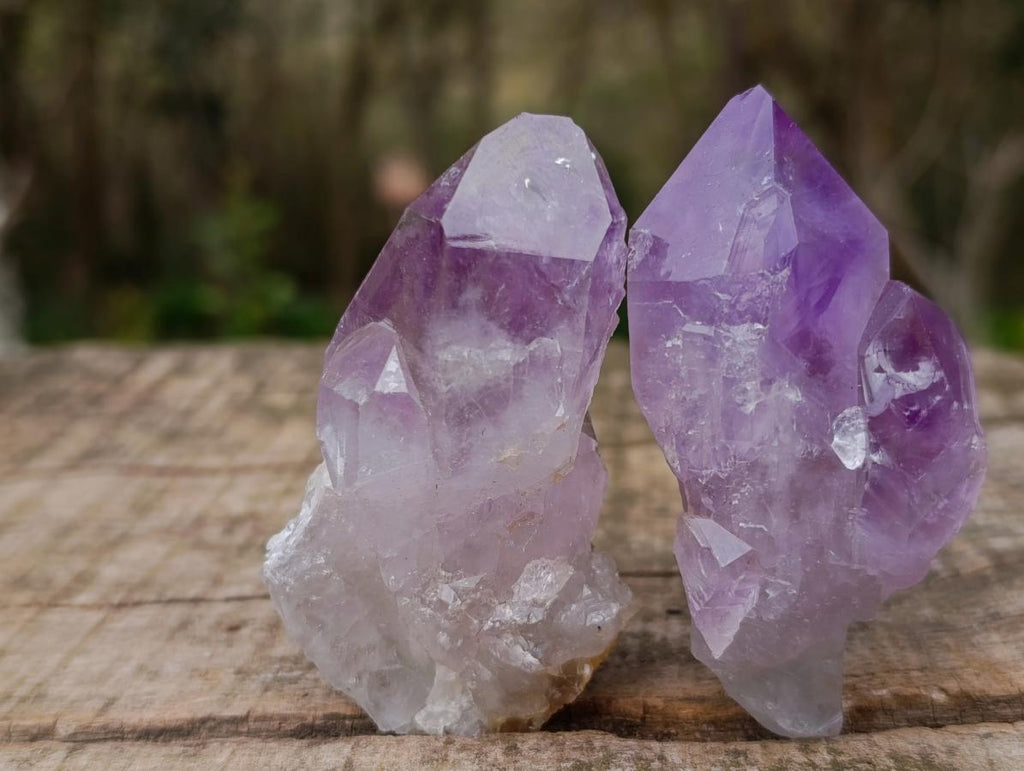 Natural Jacaranda Amethyst Single Crystals x 24 From Mumbwa, Zambia - Toprock Gemstones and Minerals 