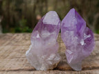 Natural Jacaranda Amethyst Single Crystals x 24 From Mumbwa, Zambia - Toprock Gemstones and Minerals 