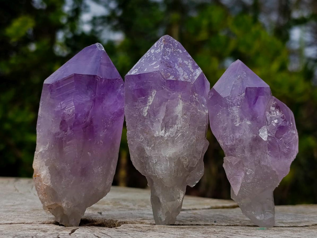 Natural Jacaranda Amethyst Single Crystals x 24 From Mumbwa, Zambia - Toprock Gemstones and Minerals 