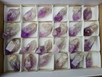 Natural Jacaranda Amethyst Single Crystals x 24 From Mumbwa, Zambia - Toprock Gemstones and Minerals 