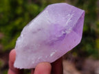 Natural Jacaranda Amethyst Single Crystals x 24 From Mumbwa, Zambia - Toprock Gemstones and Minerals 