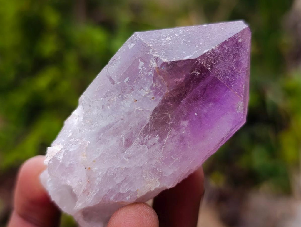 Natural Jacaranda Amethyst Single Crystals x 24 From Mumbwa, Zambia - Toprock Gemstones and Minerals 