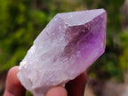Natural Jacaranda Amethyst Single Crystals x 24 From Mumbwa, Zambia - Toprock Gemstones and Minerals 