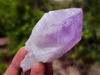 Natural Jacaranda Amethyst Single Crystals x 24 From Mumbwa, Zambia - Toprock Gemstones and Minerals 