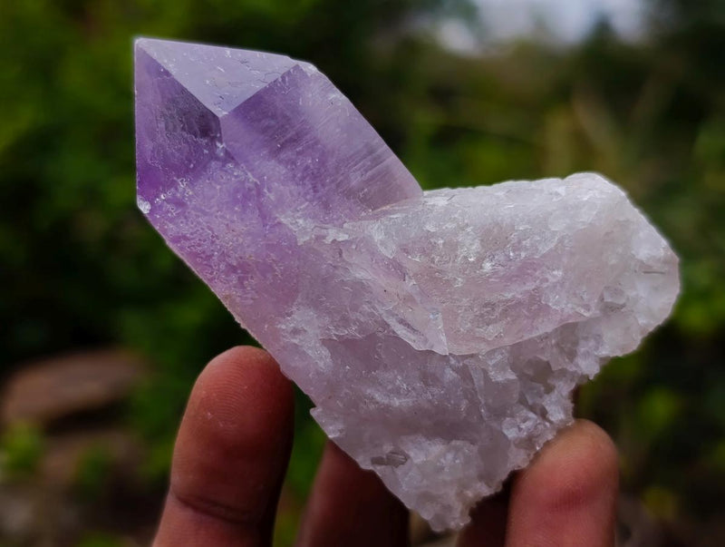 Natural Jacaranda Amethyst Single Crystals x 24 From Mumbwa, Zambia - Toprock Gemstones and Minerals 