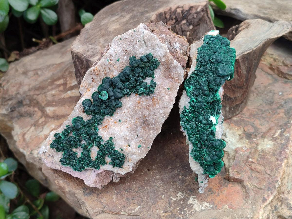 Natural Ball Malachite Specimens with Quartz on Dolomite Matrix x 1 From Mindingi Mine, Kambove, Congo - Toprock Gemstones and Minerals 