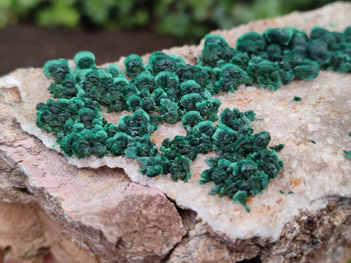 Natural Ball Malachite Specimens with Quartz on Dolomite Matrix x 1 From Mindingi Mine, Kambove, Congo - Toprock Gemstones and Minerals 