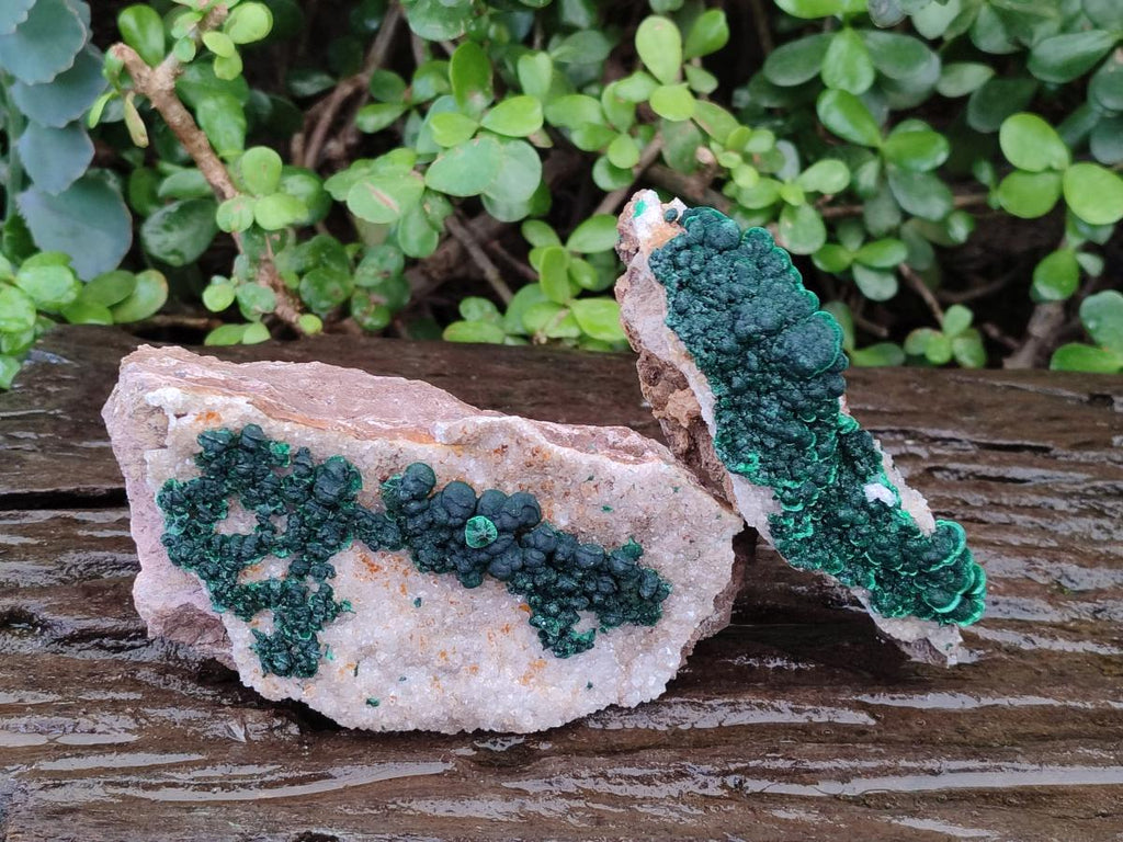 Natural Ball Malachite Specimens with Quartz on Dolomite Matrix x 1 From Mindingi Mine, Kambove, Congo - Toprock Gemstones and Minerals 