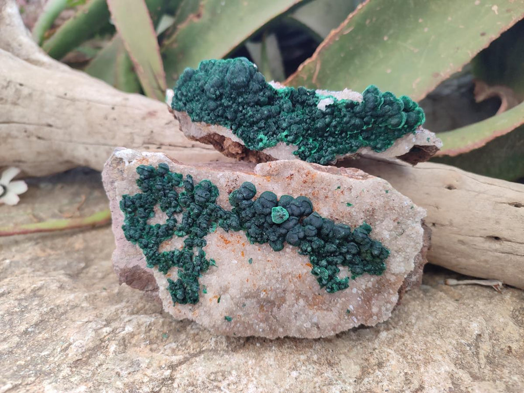 Natural Ball Malachite Specimens with Quartz on Dolomite Matrix x 1 From Mindingi Mine, Kambove, Congo - Toprock Gemstones and Minerals 