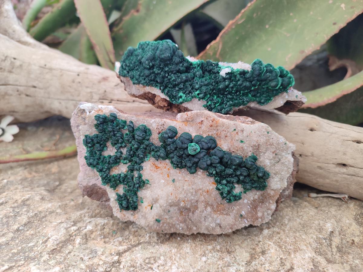 Natural Ball Malachite Specimens with Quartz on Dolomite Matrix x 1 From Mindingi Mine, Kambove, Congo - Toprock Gemstones and Minerals 