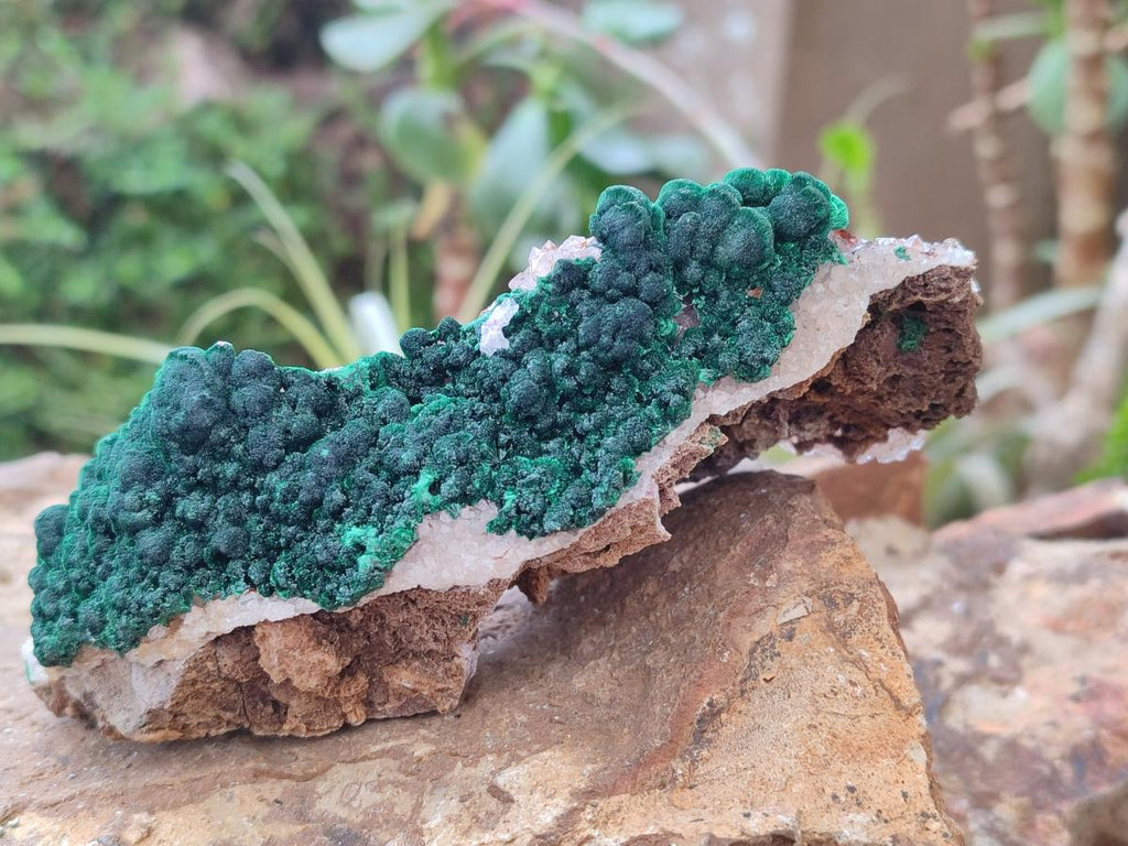 Natural Ball Malachite Specimens with Quartz on Dolomite Matrix x 1 From Mindingi Mine, Kambove, Congo - Toprock Gemstones and Minerals 