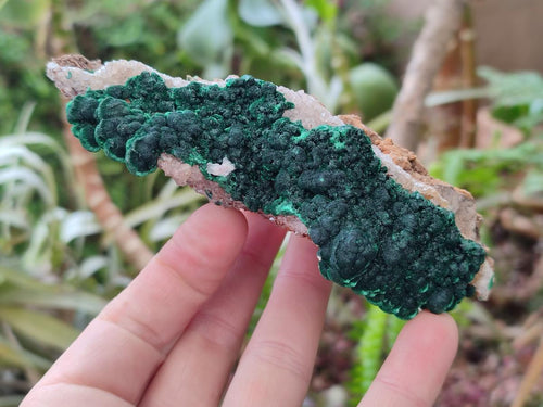 Natural Ball Malachite Specimens with Quartz on Dolomite Matrix x 1 From Mindingi Mine, Kambove, Congo - Toprock Gemstones and Minerals 