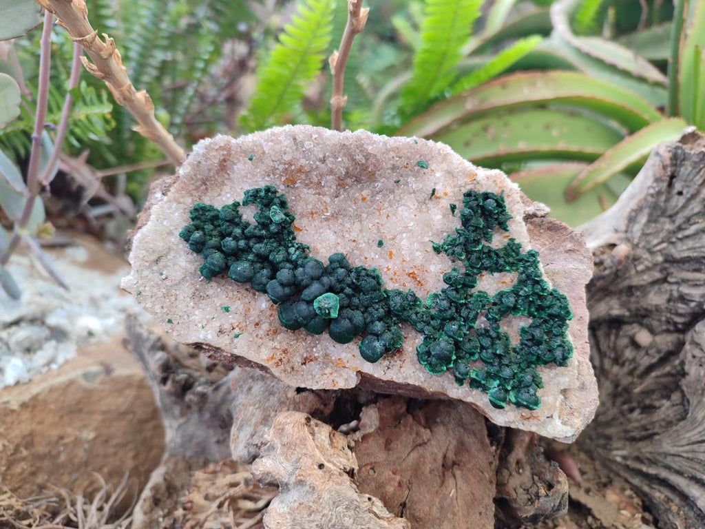 Natural Ball Malachite Specimens with Quartz on Dolomite Matrix x 1 From Mindingi Mine, Kambove, Congo - Toprock Gemstones and Minerals 
