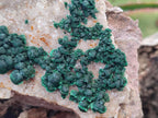 Natural Ball Malachite Specimens with Quartz on Dolomite Matrix x 1 From Mindingi Mine, Kambove, Congo - Toprock Gemstones and Minerals 