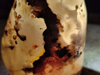 Polished and Natural Flower Agate Standing Display Pieces x 3 From Antsahalova, Madagascar - Toprock Gemstones and Minerals 