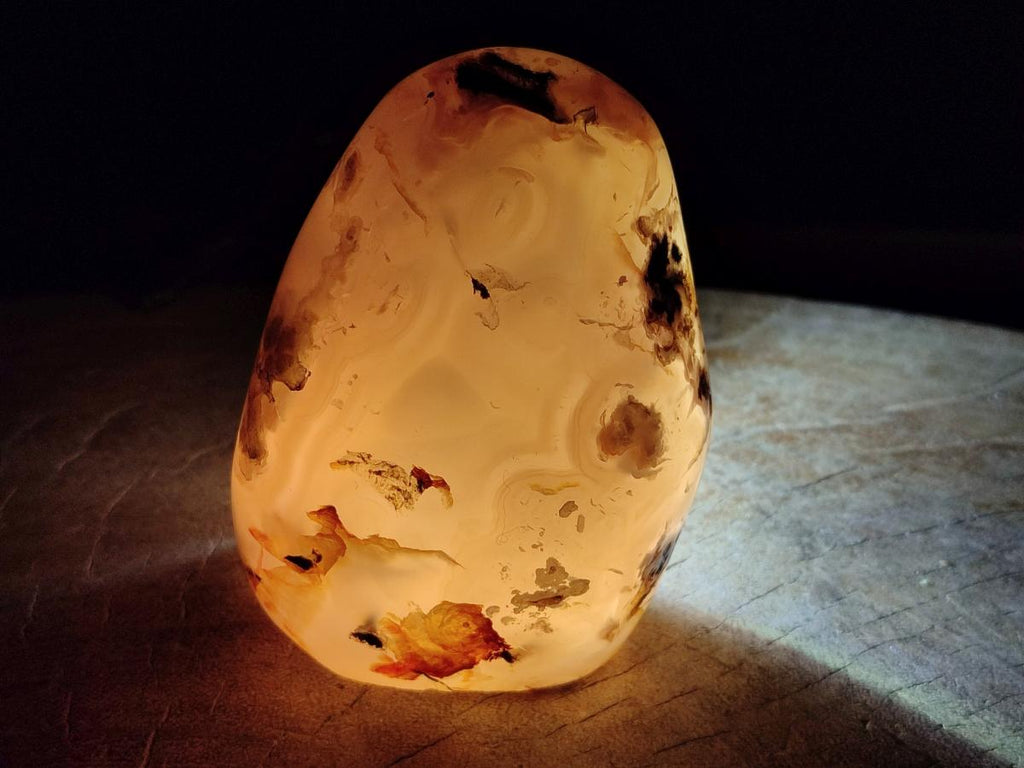 Polished and Natural Flower Agate Standing Display Pieces x 3 From Antsahalova, Madagascar - Toprock Gemstones and Minerals 