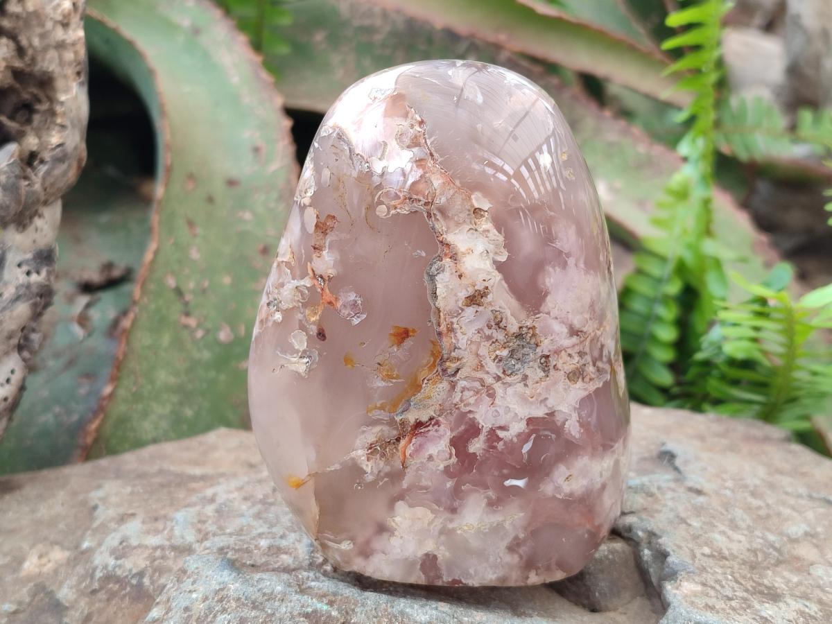 Polished and Natural Flower Agate Standing Display Pieces x 3 From Antsahalova, Madagascar - Toprock Gemstones and Minerals 