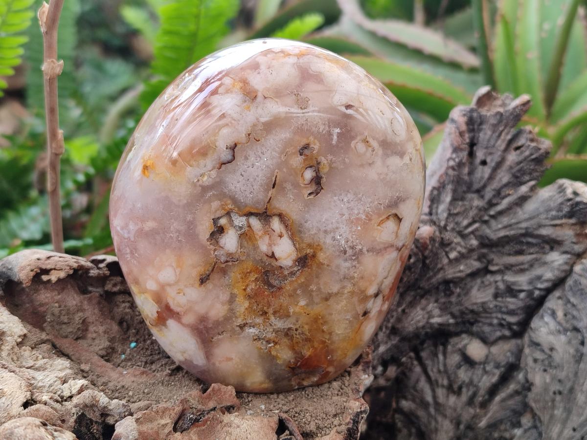 Polished and Natural Flower Agate Standing Display Pieces x 3 From Antsahalova, Madagascar - Toprock Gemstones and Minerals 