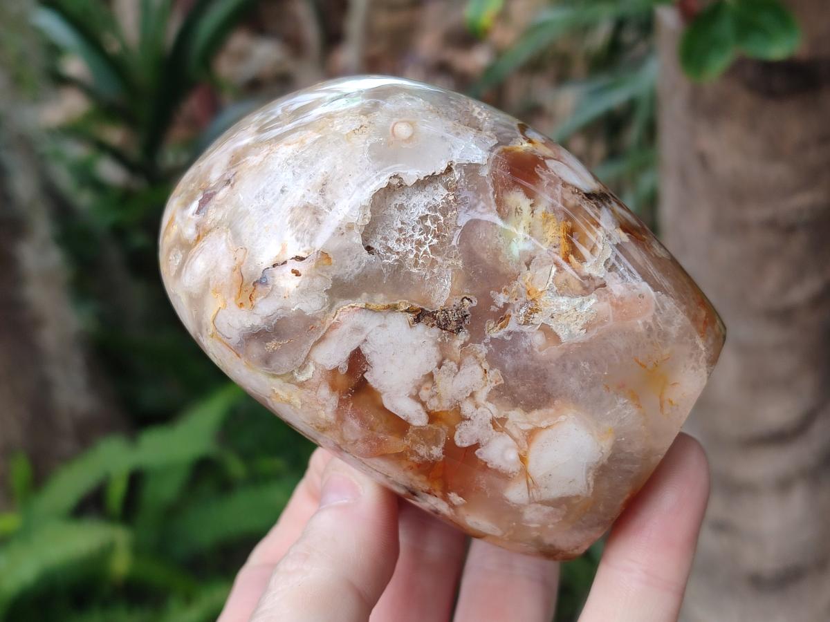 Polished and Natural Flower Agate Standing Display Pieces x 3 From Antsahalova, Madagascar - Toprock Gemstones and Minerals 