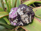 Natural Metallic Cobbed Purpurite Specimens x 12 From Erongo, Namibia - Toprock Gemstones and Minerals 